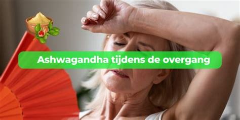 overgang zin in seks|Seks en intimiteit tijdens de overgang: handige tips & adviezen